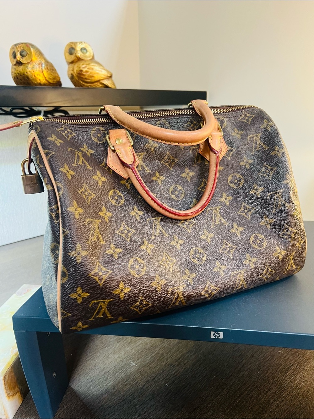 Louis Vuitton Brown Monogram Speedy Handbag with Tan Trim